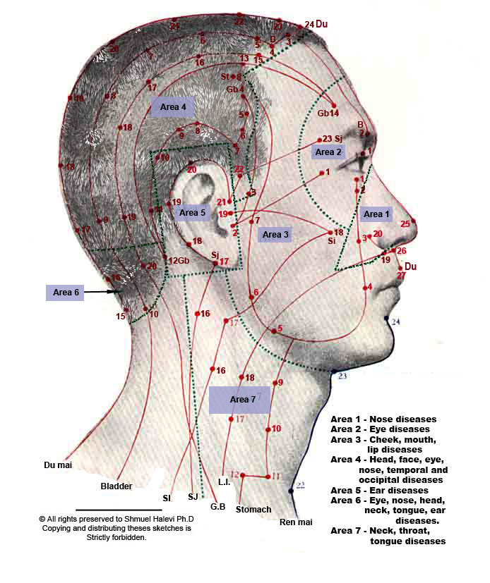 head