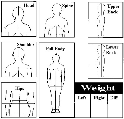 Postural check chart 