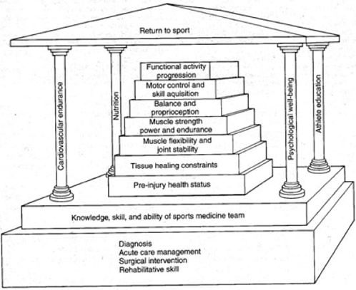 Injury pyramid